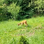 Сasa de vacaciones Pod Tylka Grywald