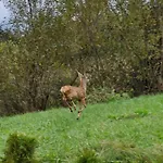 Сasa de vacaciones Pod Tylka Grywald