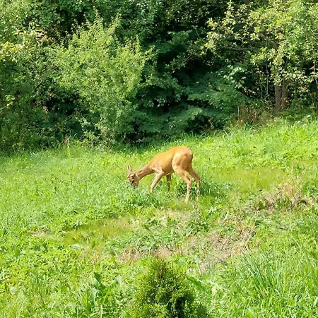 Holiday home Pod Tylka Grywald
