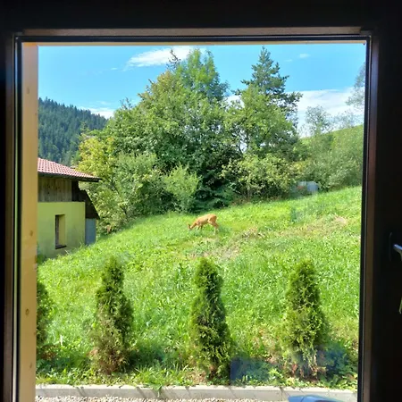 Pod Tylka * Grywald