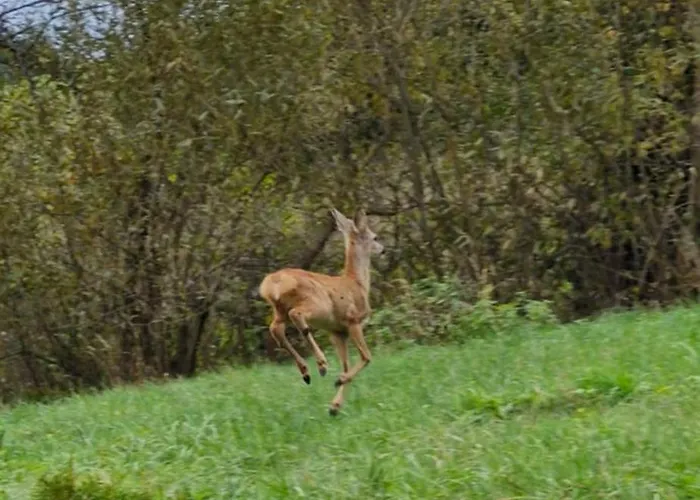 בית נופש Pod Tylka Grywald
