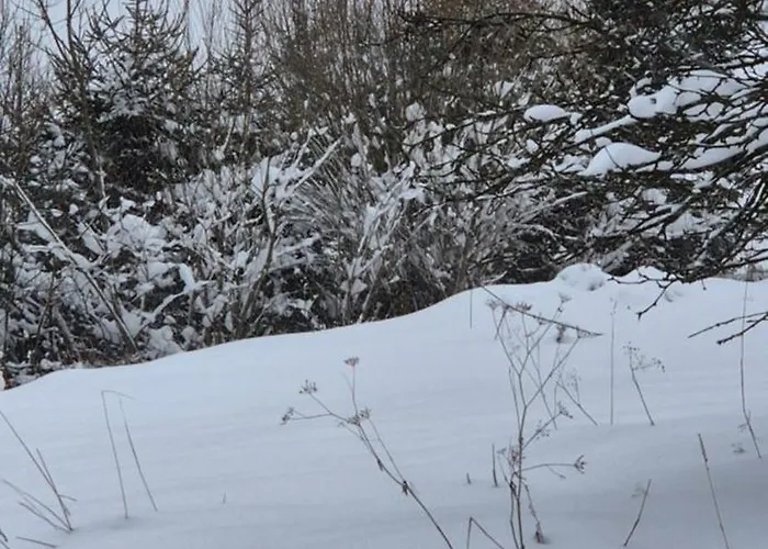 בית נופש Pod Tylka *